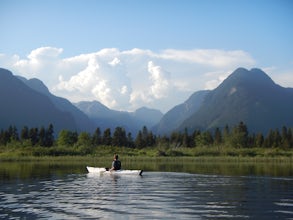 Paddle Pitt Lake to Widgeon Falls