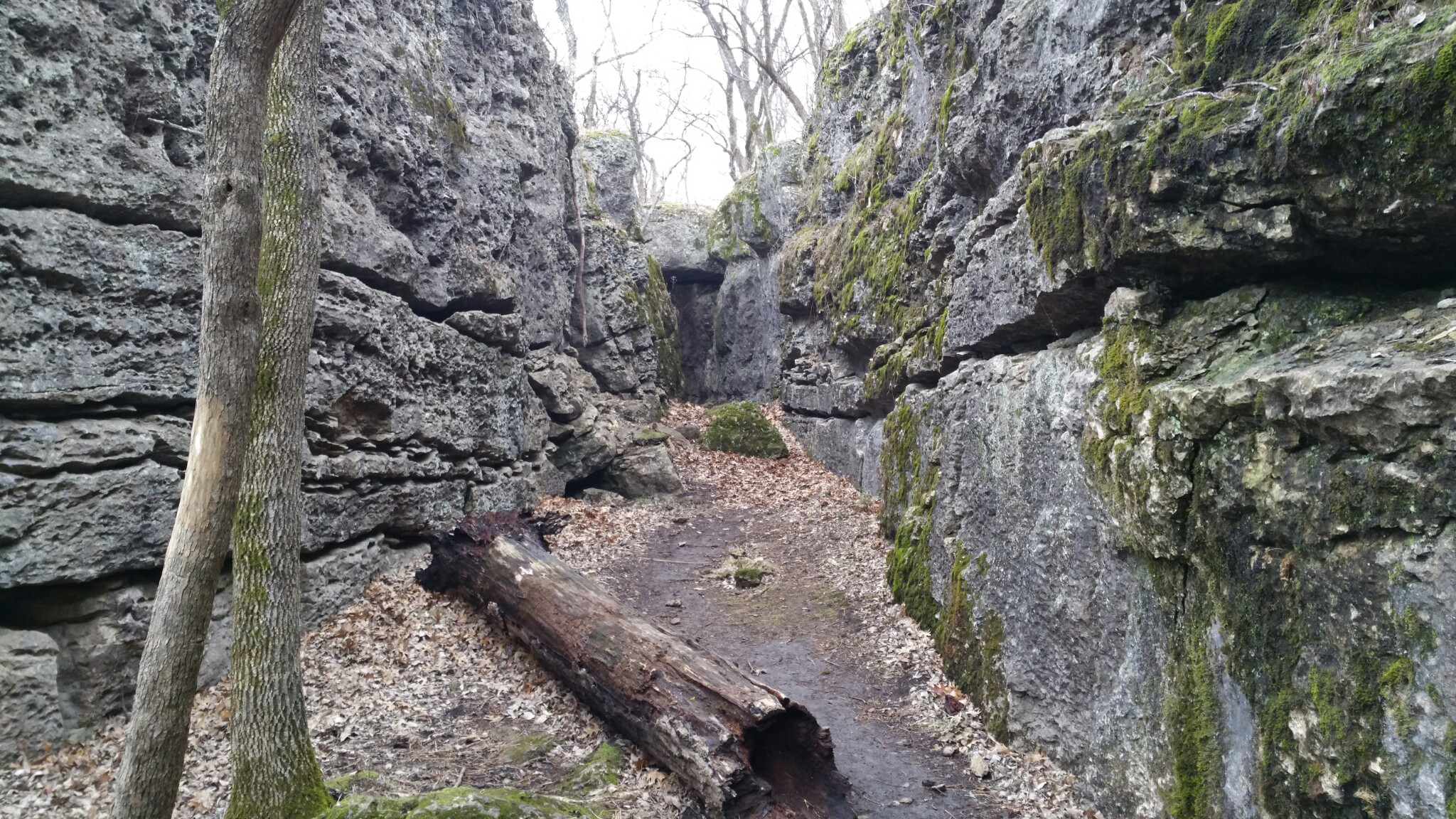 Hike the Elk River Hiking Trail