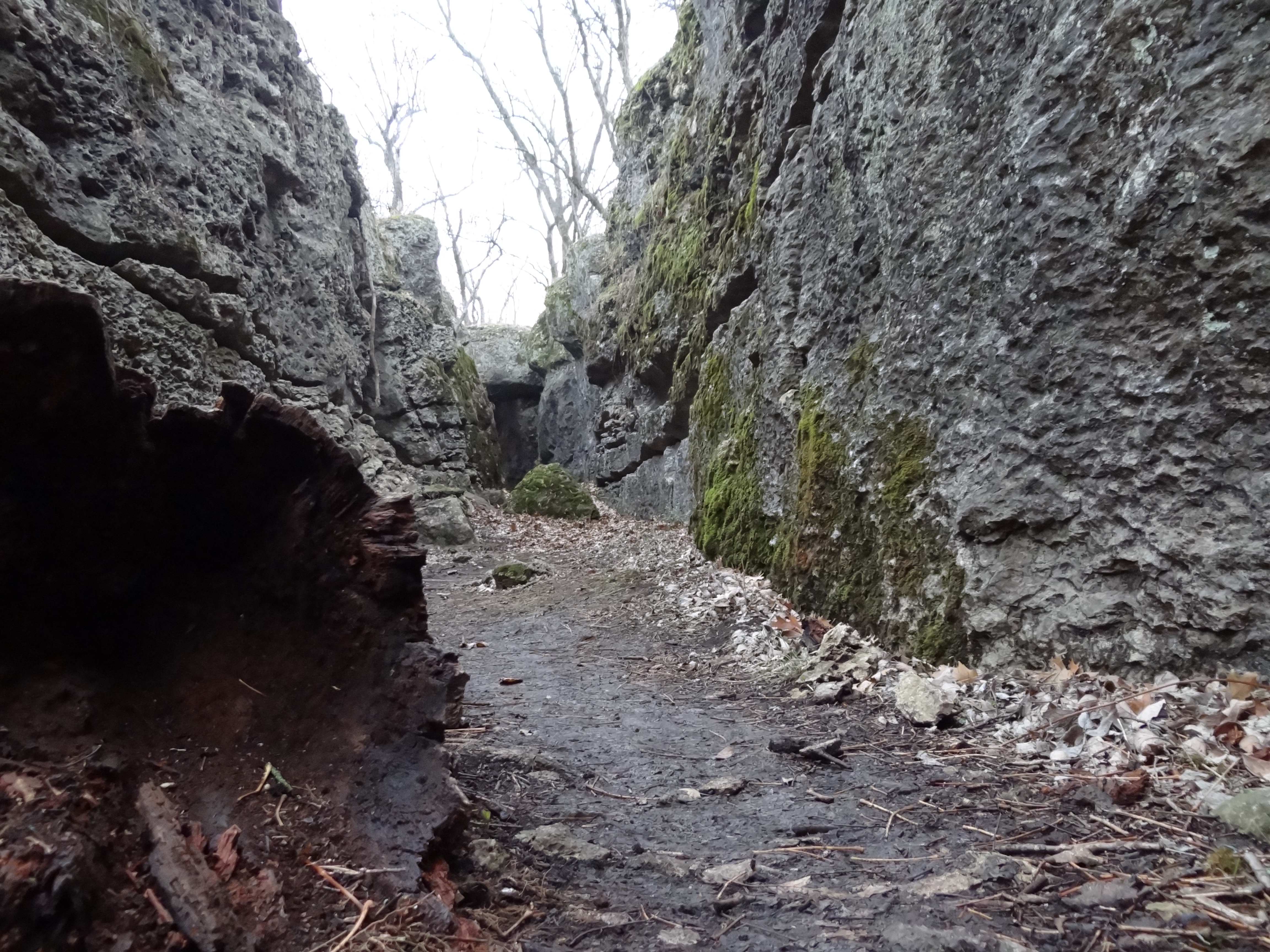 Hike the Elk River Hiking Trail