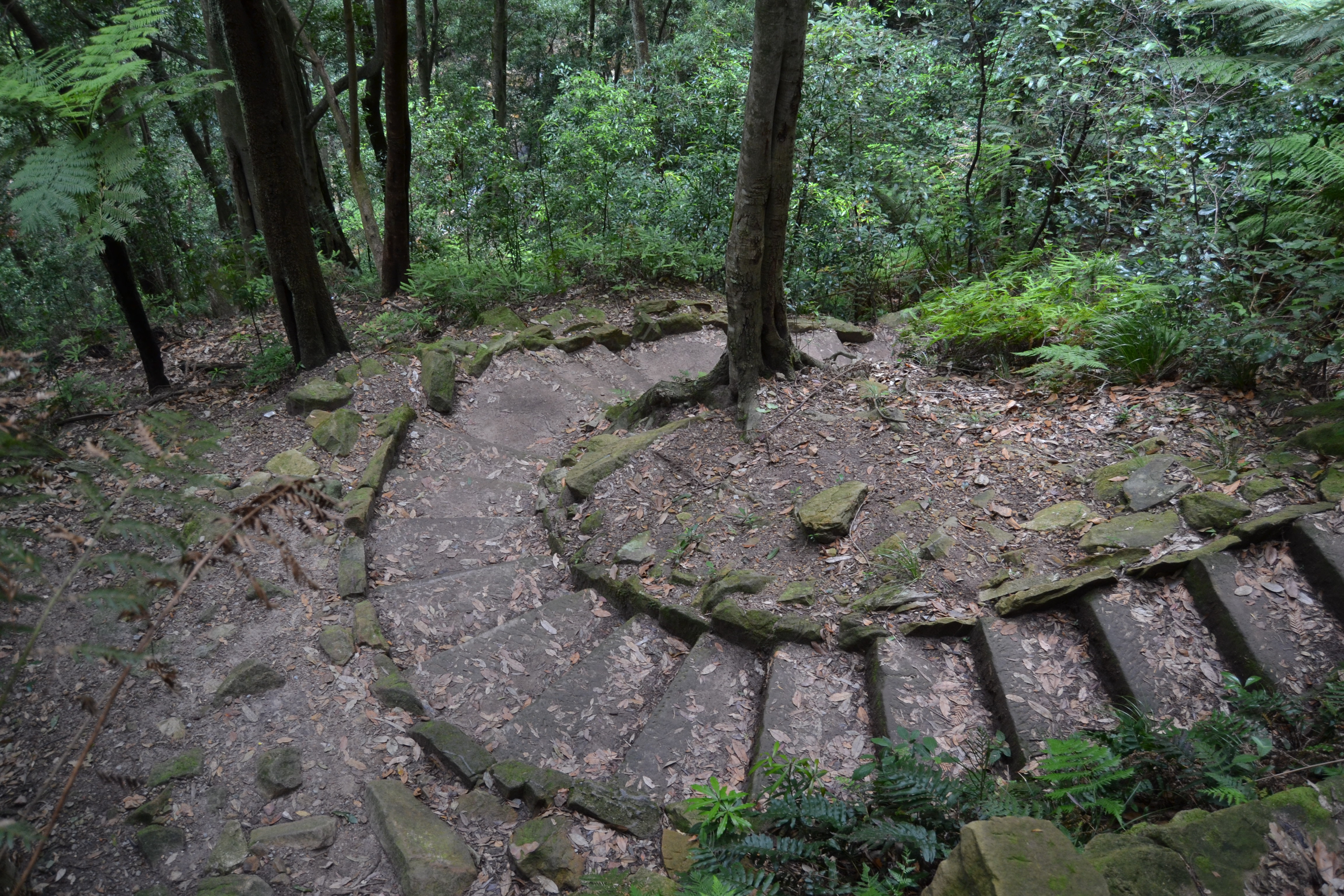 Hike to Wentworth Falls
