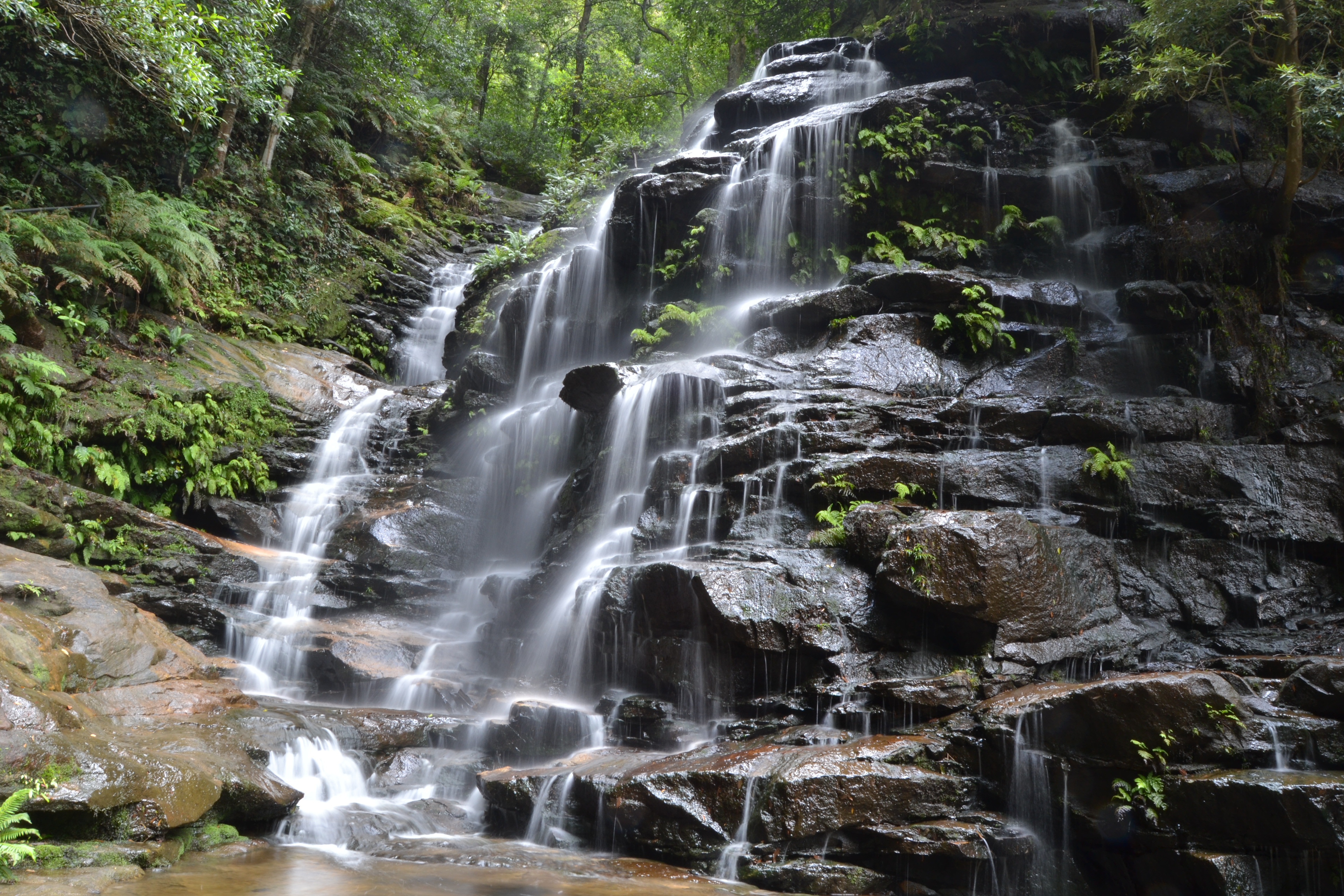Hike to Wentworth Falls