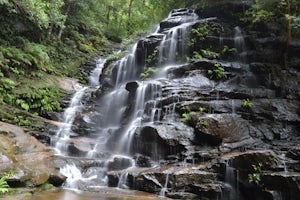 Hike to Wentworth Falls