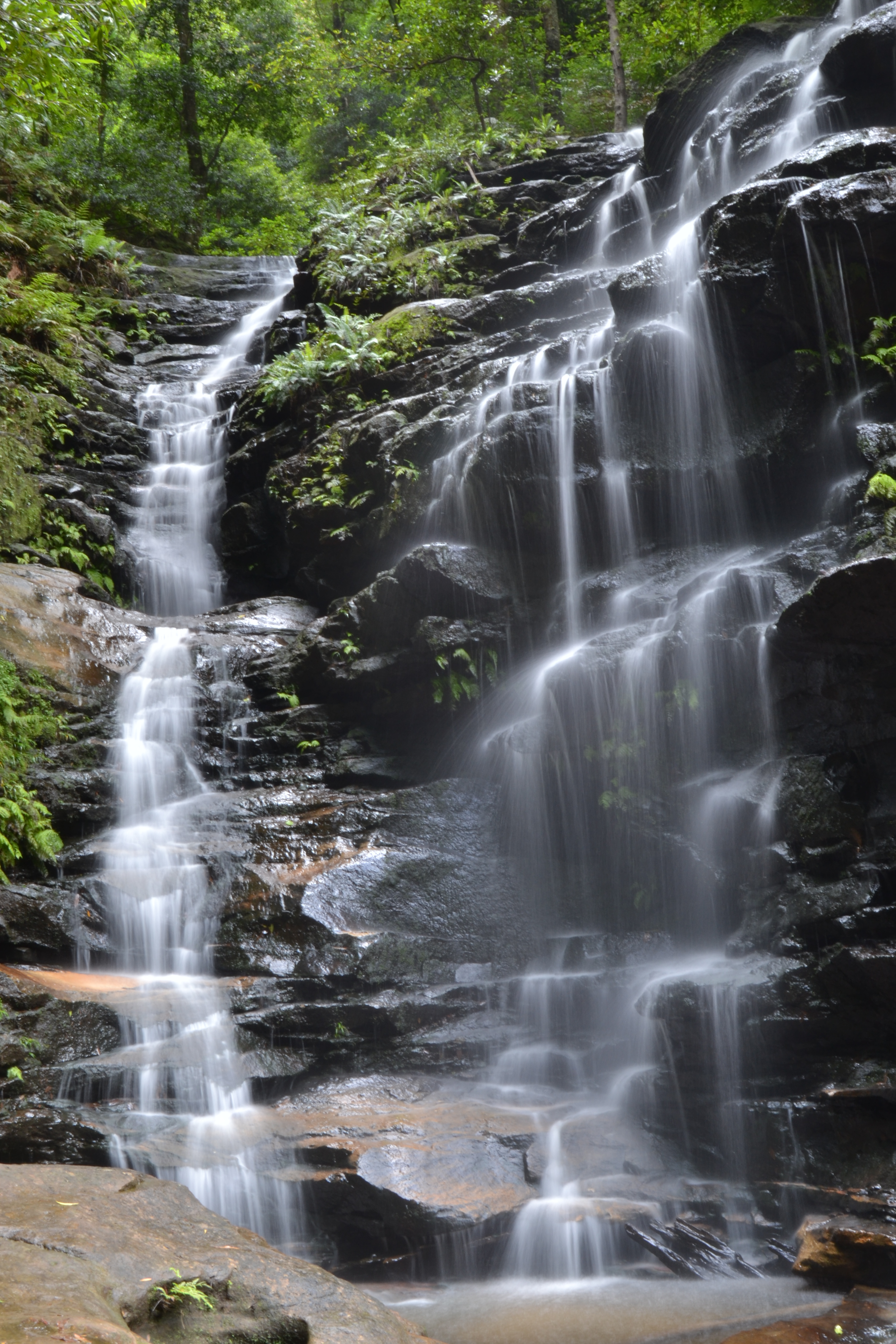 Hike to Wentworth Falls
