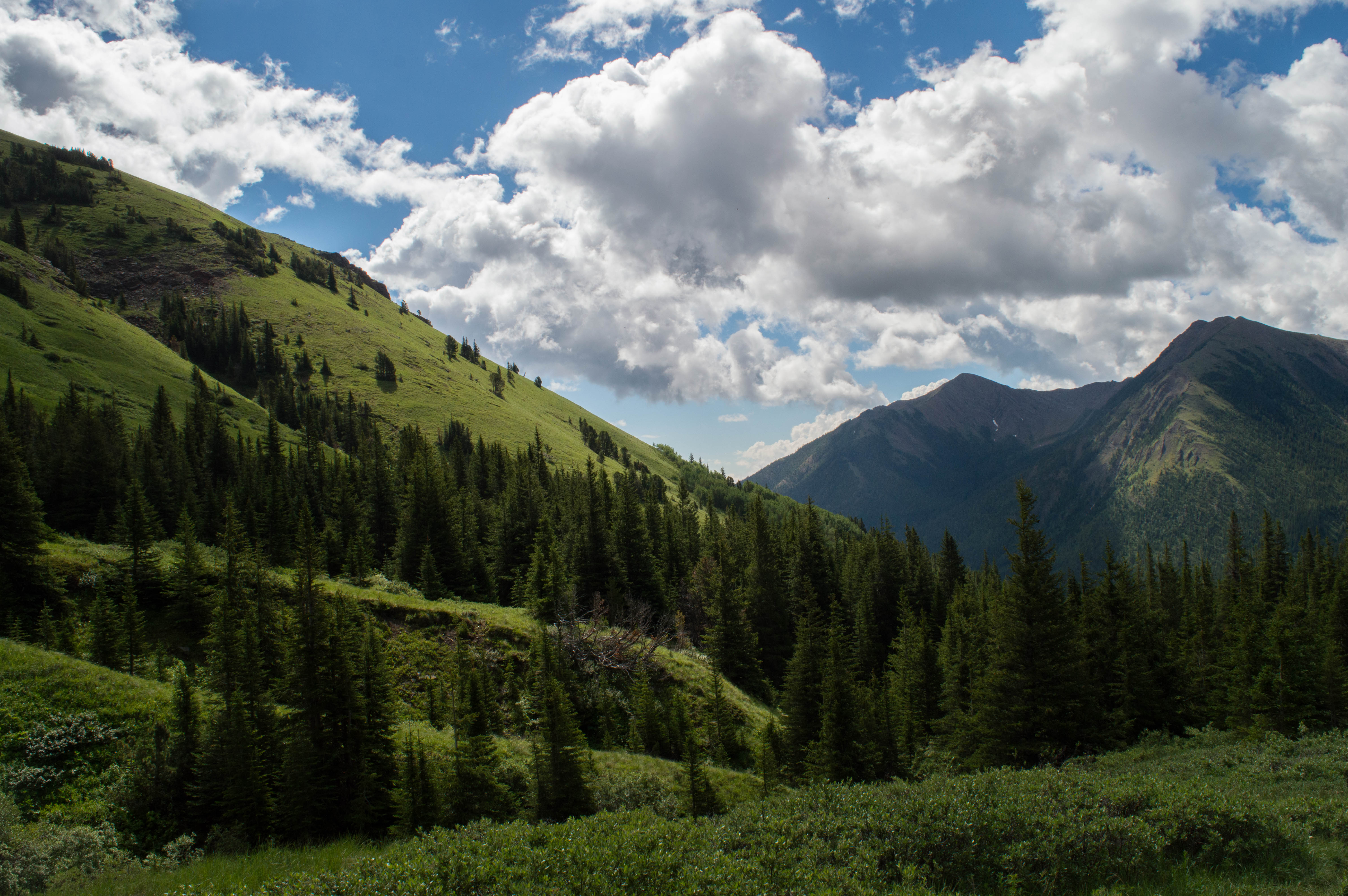 Mist Mountain Scramble, Turner Valley, Alberta