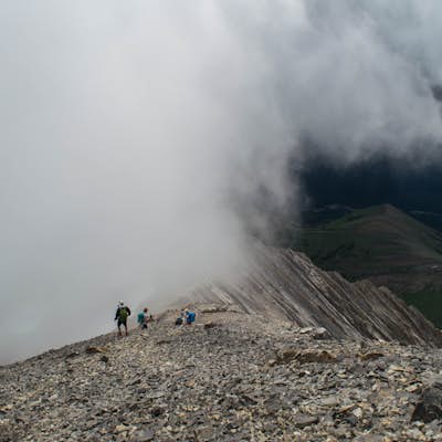 Mist Mountain Scramble