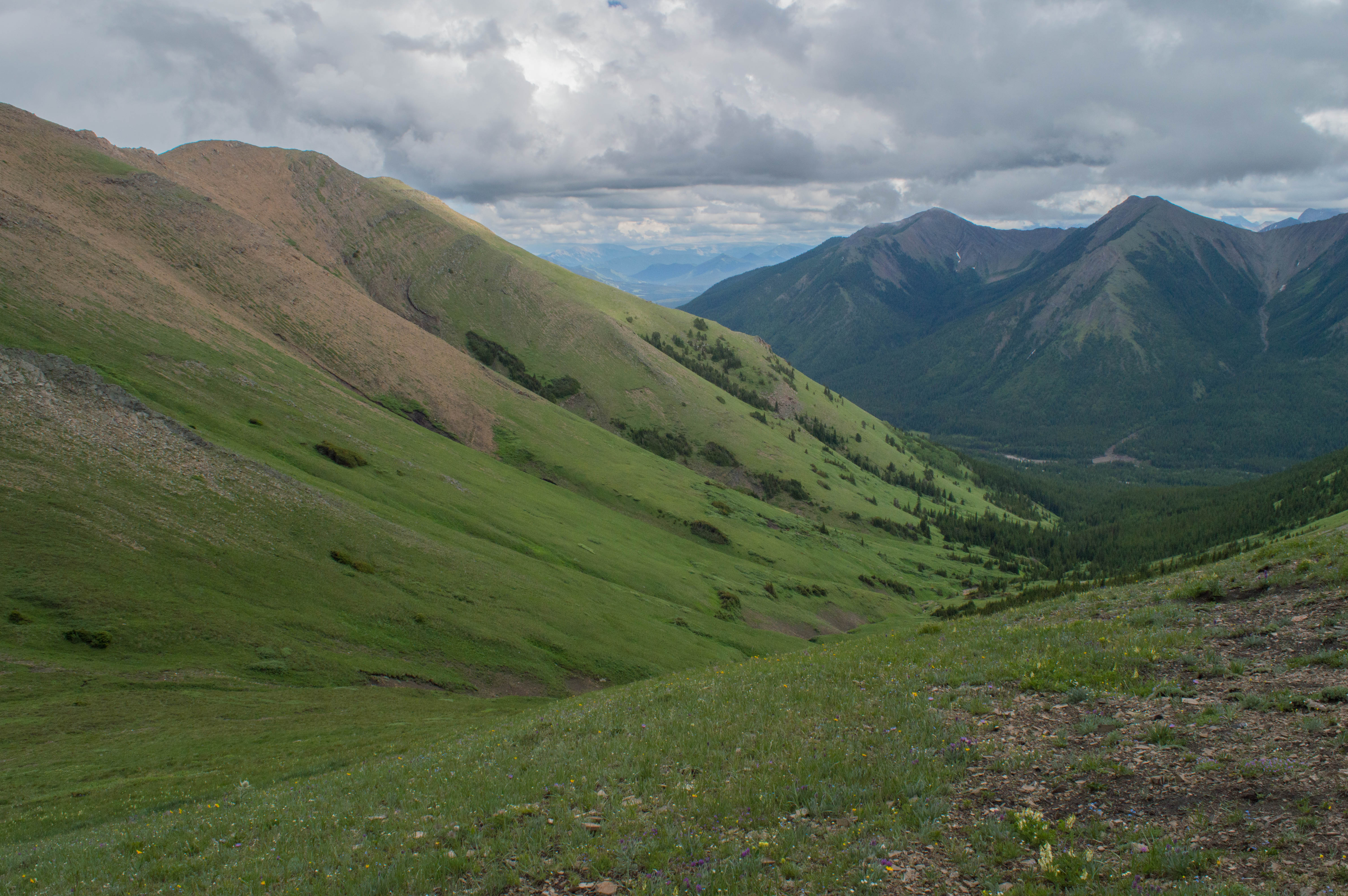 Mist Mountain Scramble