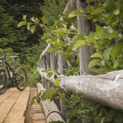 Bike the Timothy Lake Trail