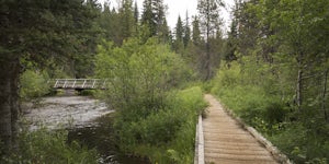 Bike the Timothy Lake Trail