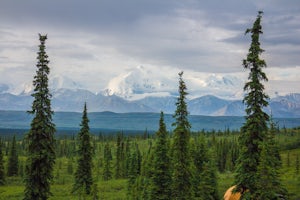 Camp at Wonder Lake