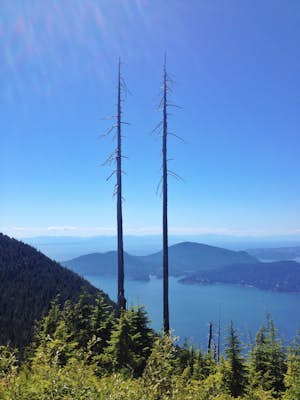 Hike to St. Mark's Summit