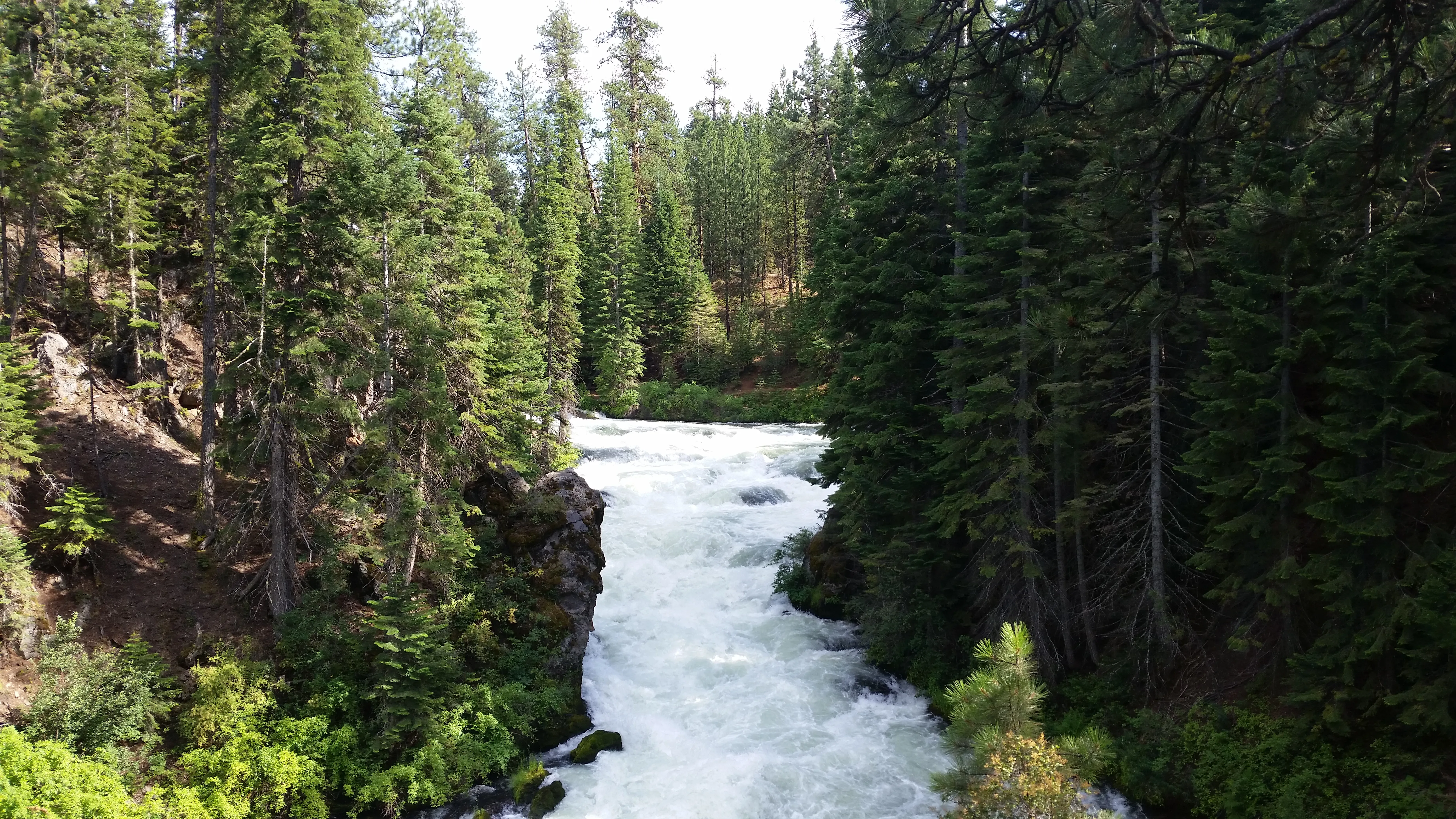 Mountain Bike Lava Lands Blackrock Trail to Benham Falls