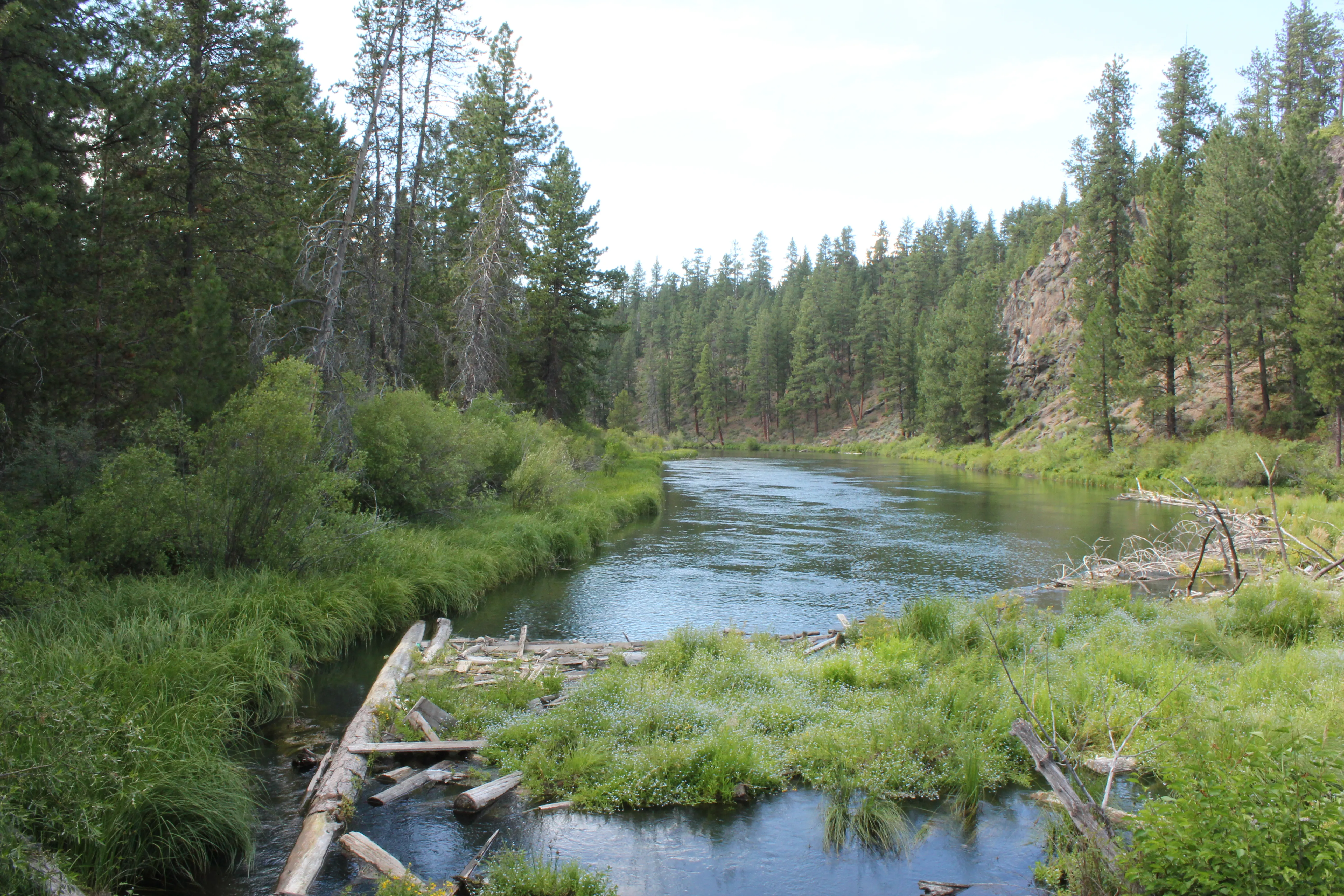 Mountain Bike Lava Lands Blackrock Trail to Benham Falls