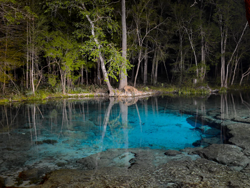 Swim at Ginnie Springs, Ginnie Springs Outdoors Campground