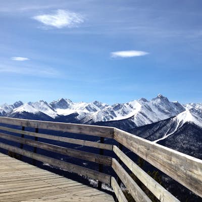 Sulphur Mountain, Banff, AB