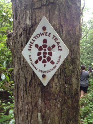 Hiking the Sheltowee Trace: Vanhook Falls
