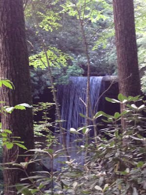 Hiking the Sheltowee Trace: Vanhook Falls
