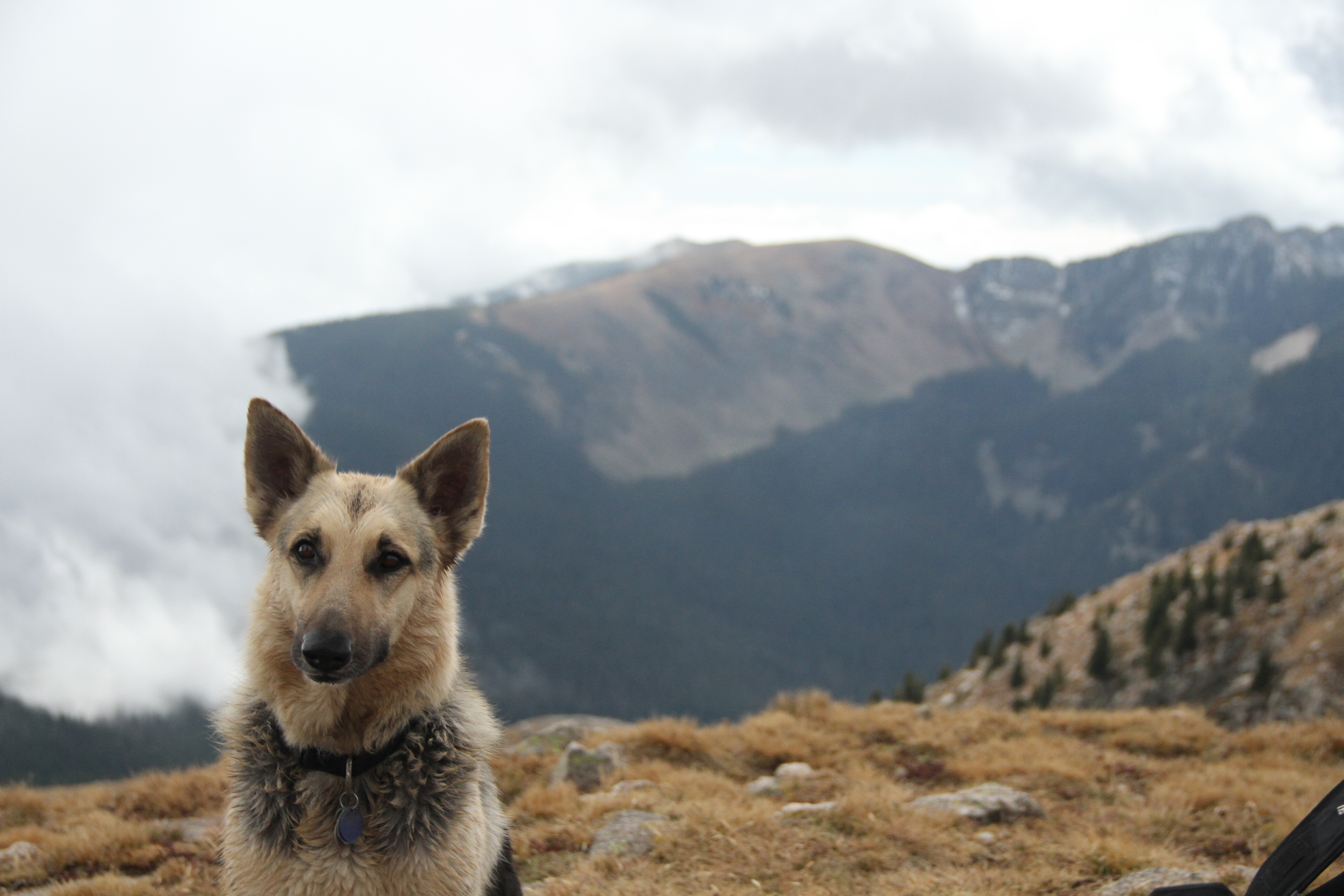 Hike Santa Fe Baldy