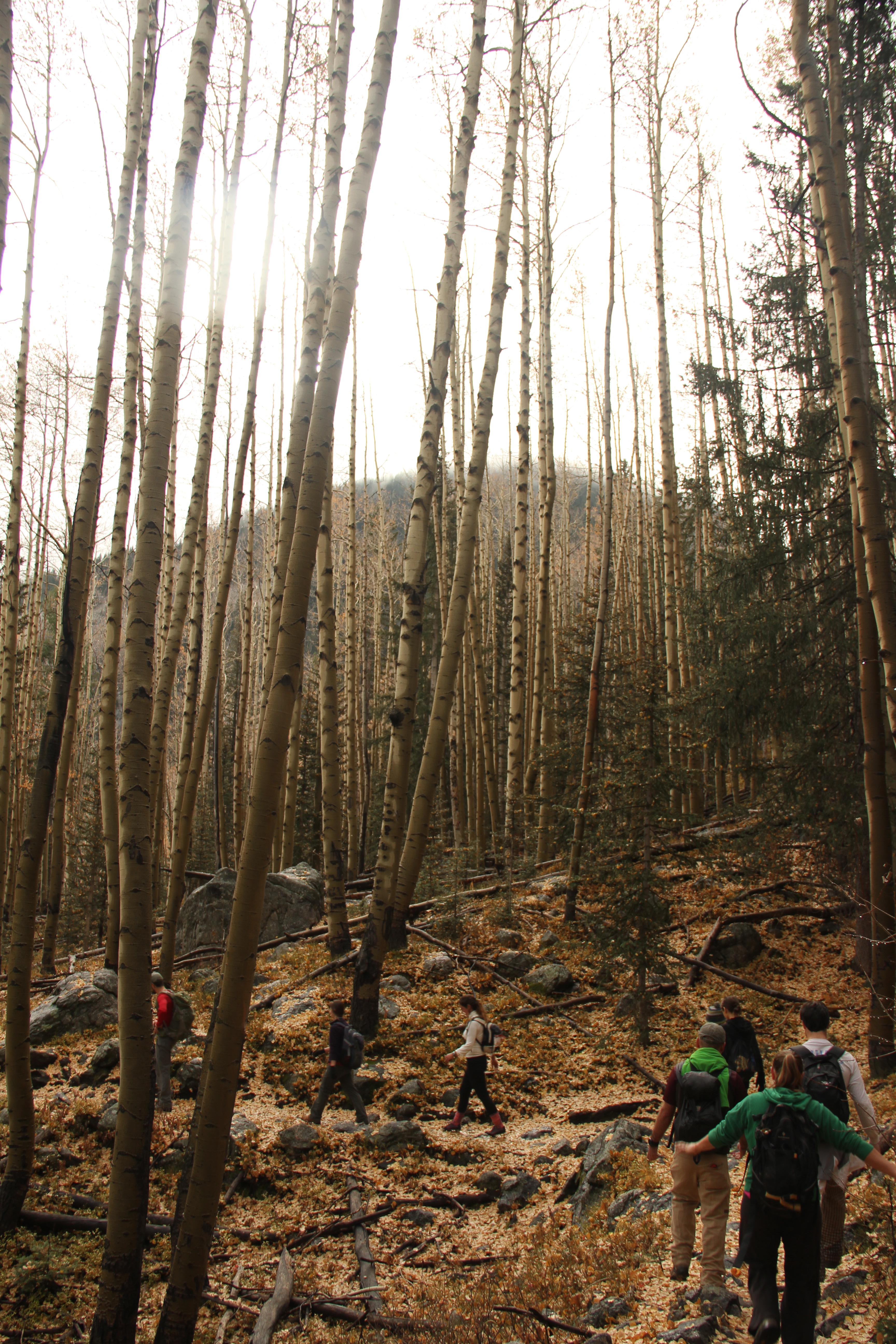 Hike Santa Fe Baldy