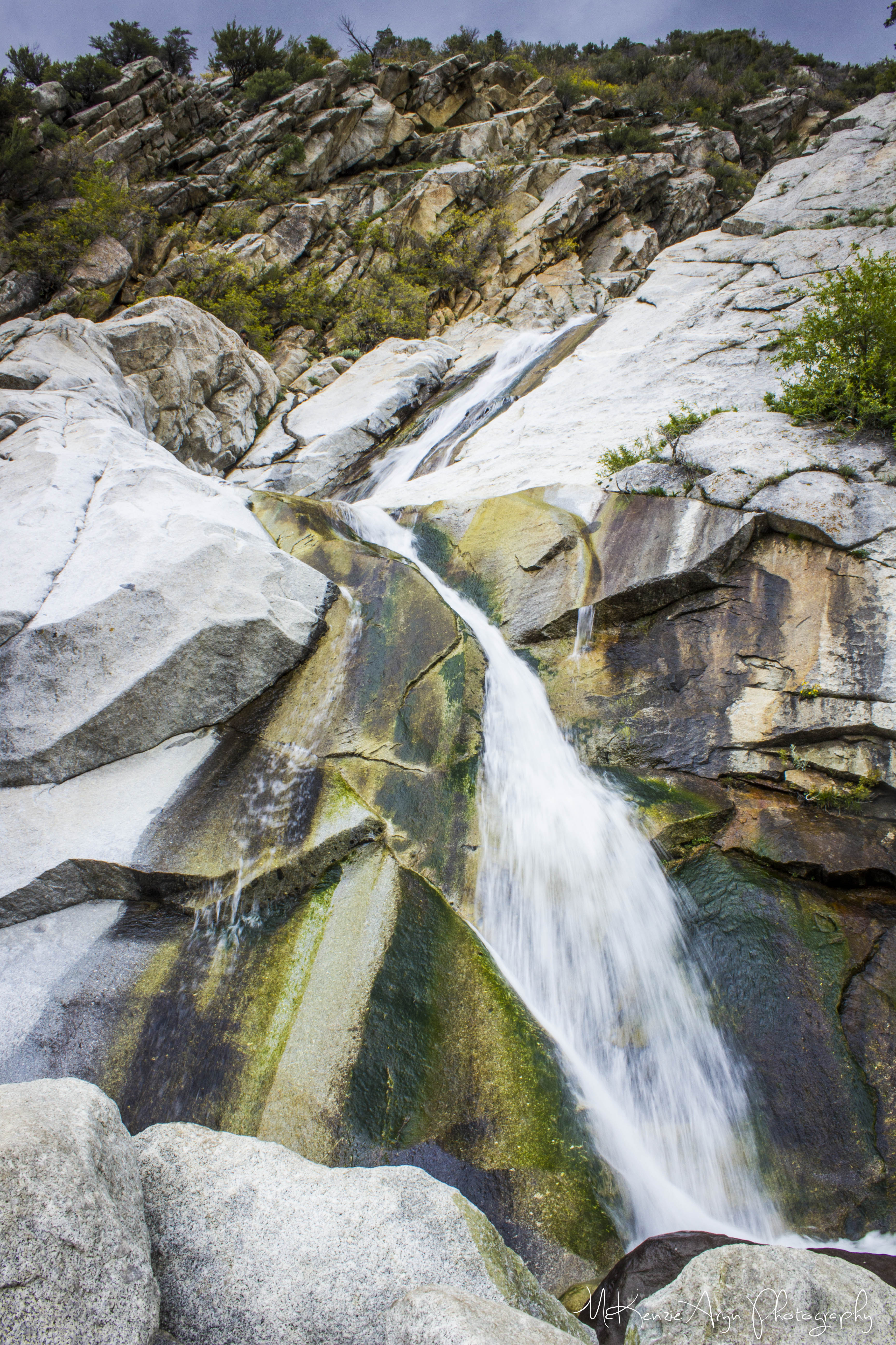 Lisa Falls