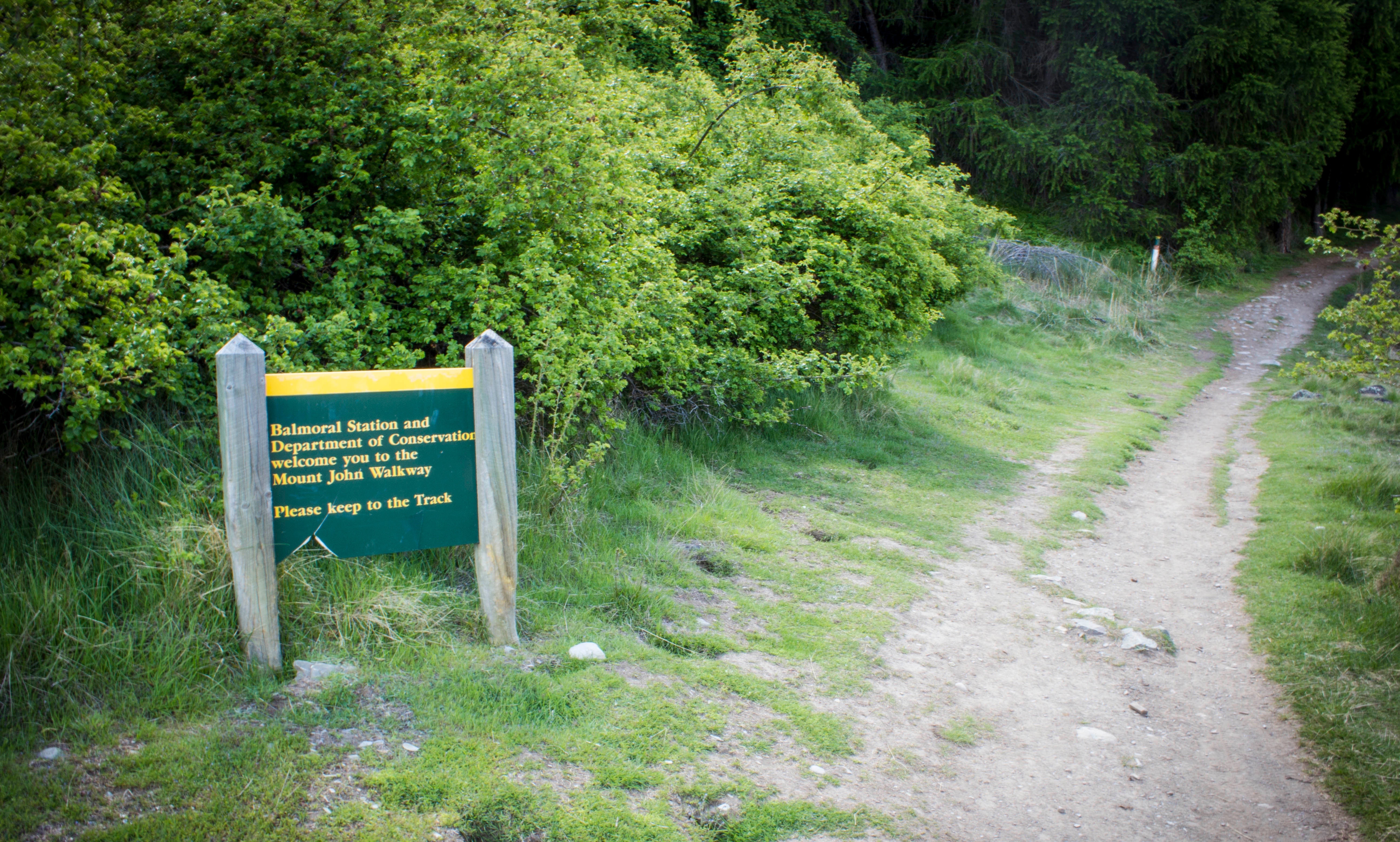 The best Camping in and near Hunters Hills, New Zealand