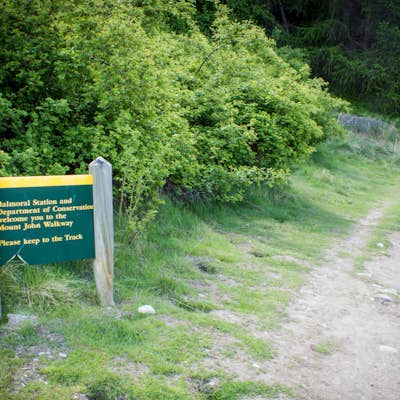Hike the Mount John Walkway