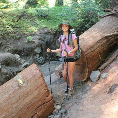 Backpacking Trip in Big Sur