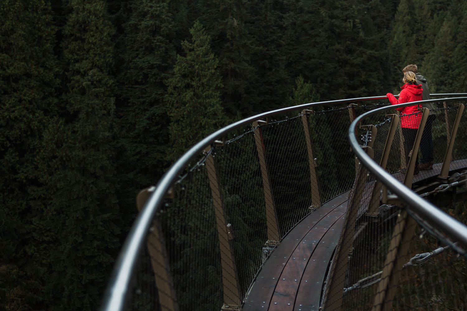 Capilano Suspension Bridge