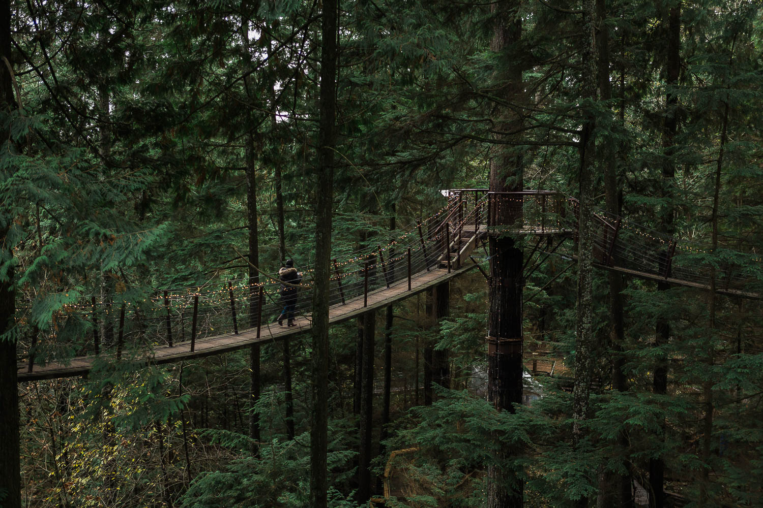 Capilano Suspension Bridge