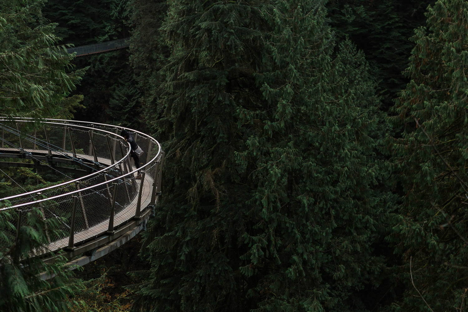 Capilano Suspension Bridge