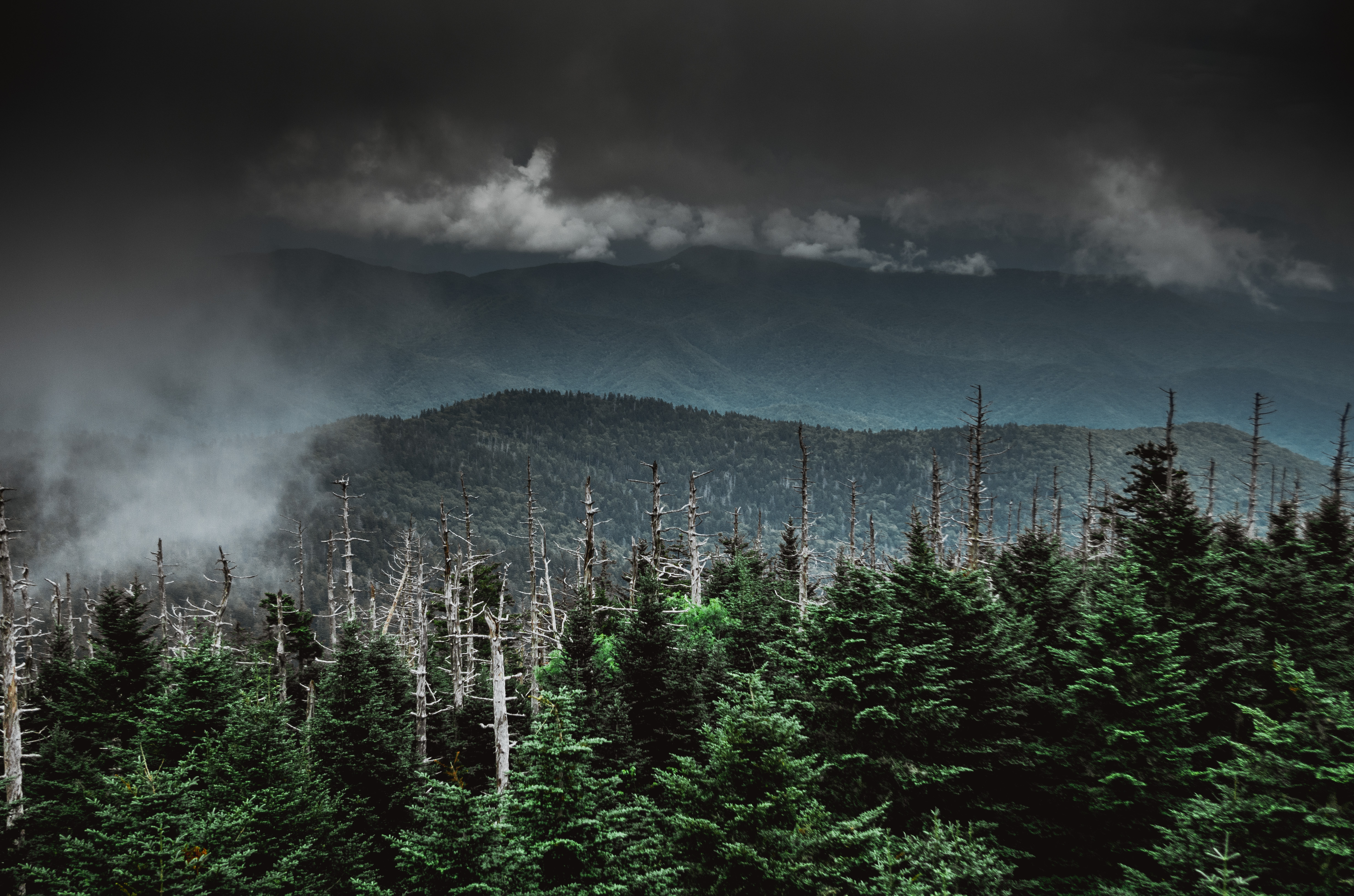 Clingmans Dome