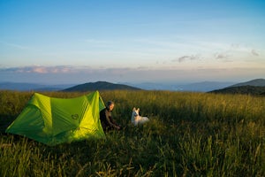 5 Reasons Why Backpacking With Your Dog Is The Best