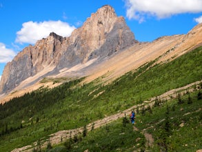 Backpack Burgess Pass to the Iceline to Takakkaw Falls