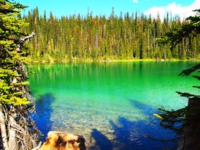 Backpack Burgess Pass to the Iceline to Takakkaw Falls