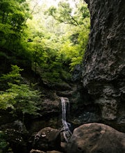 Eden Falls via Lost Valley Trail