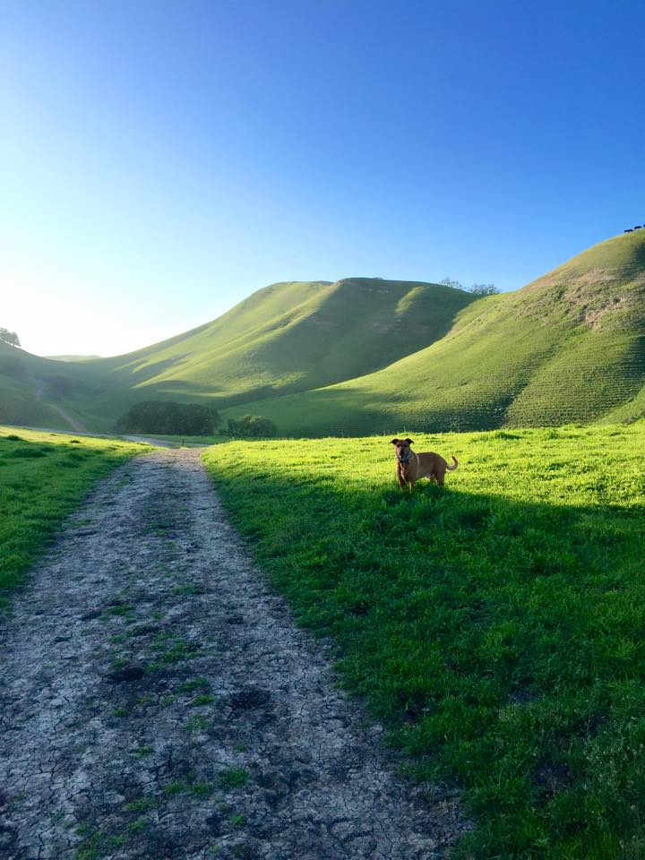 Photo of Hike the Old Homestead Loop