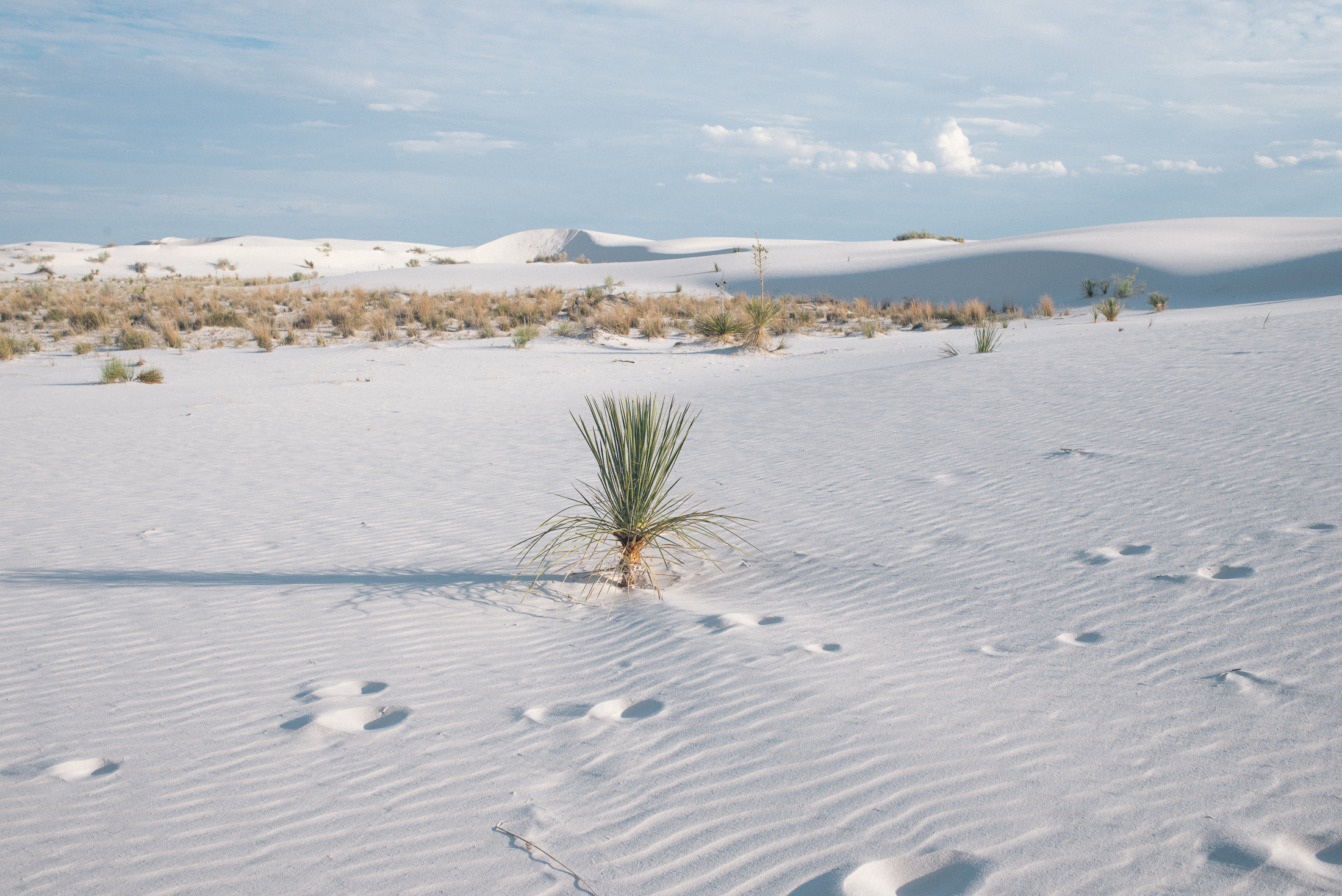 Playa Trail