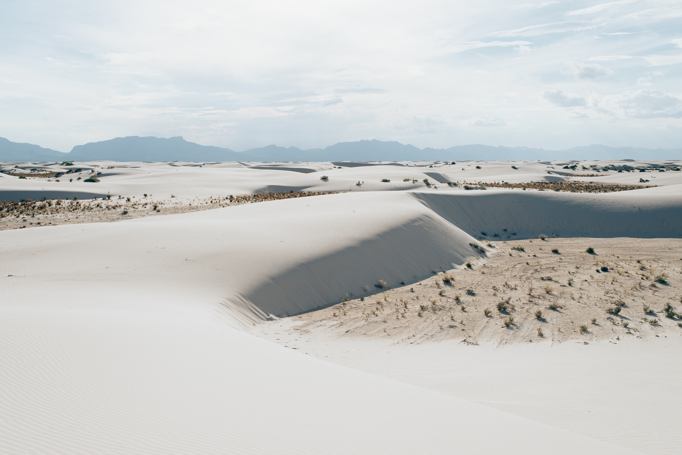 Playa Trail