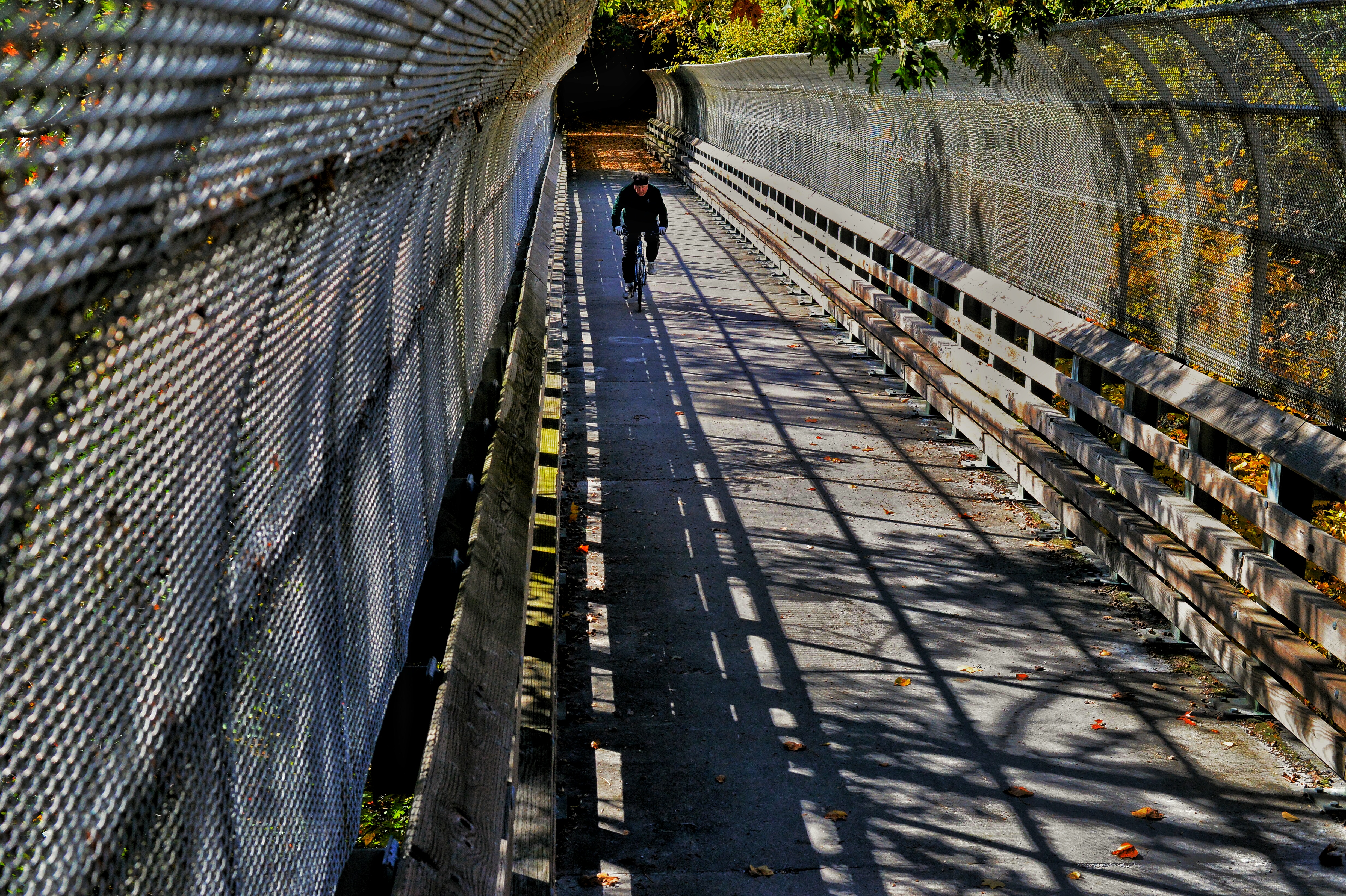 Bike the Columbia Trail: Califon to High Bridge