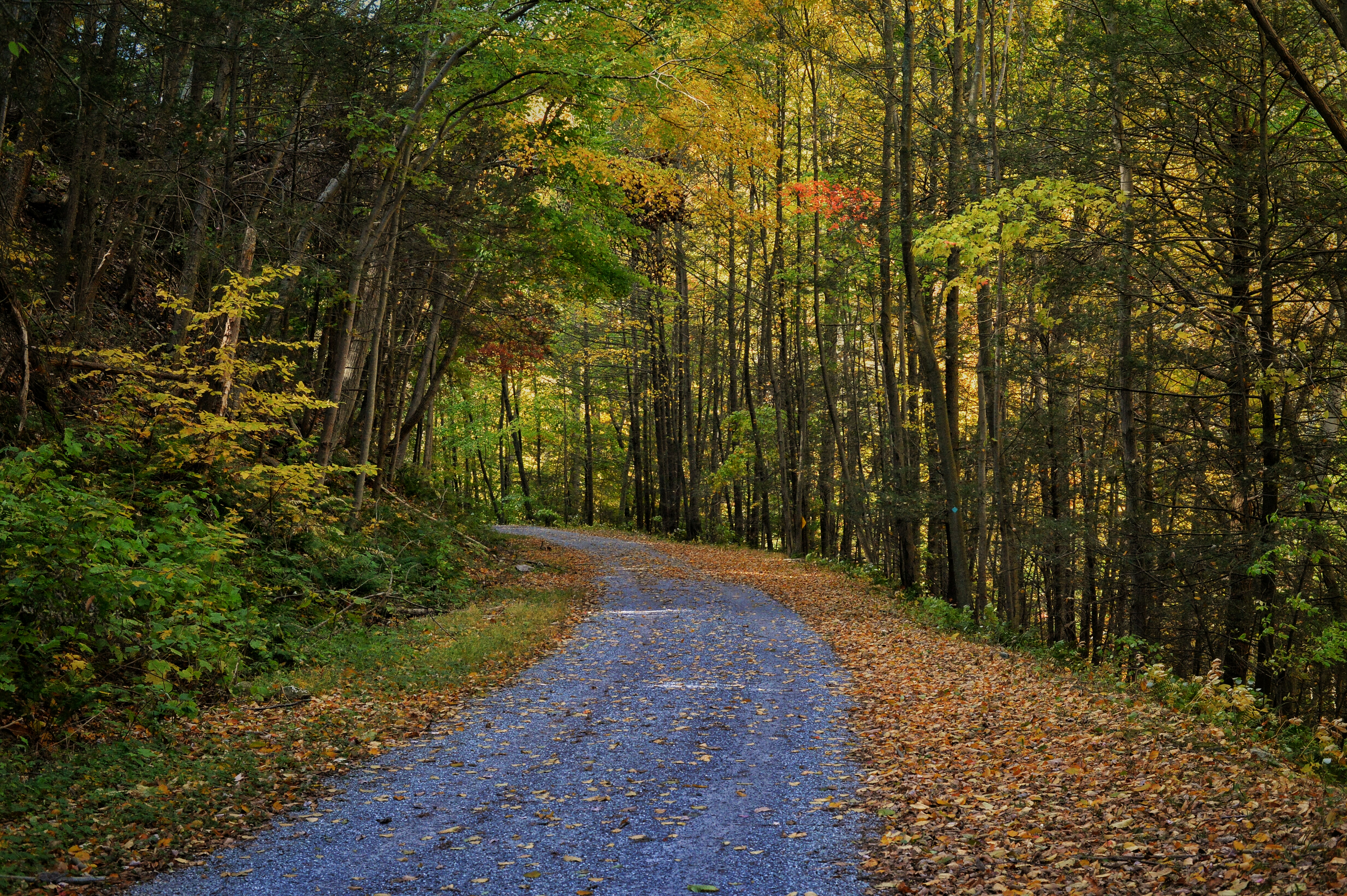 Bike the Columbia Trail: Califon to High Bridge