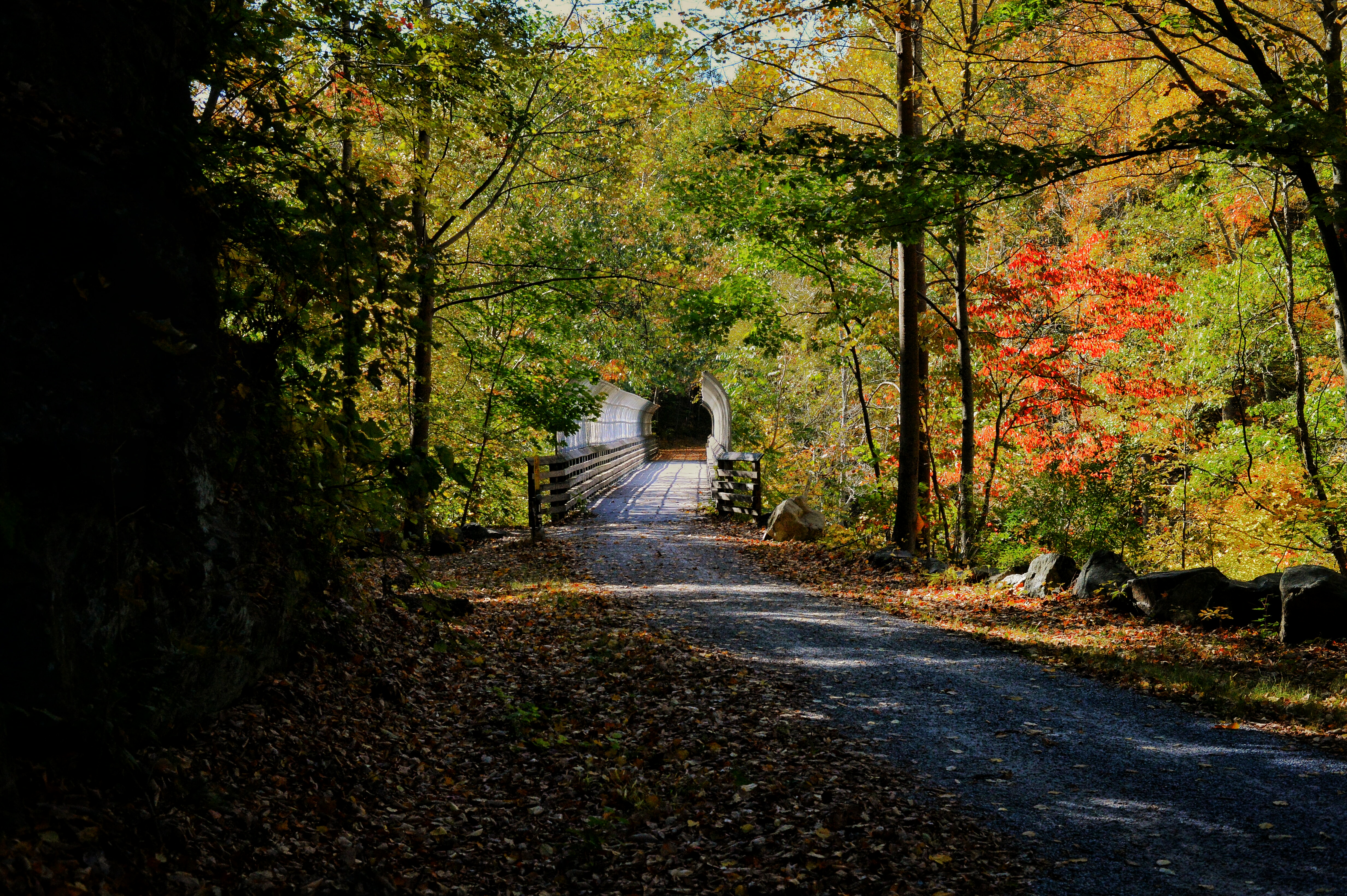 Bike the Columbia Trail: Califon to High Bridge