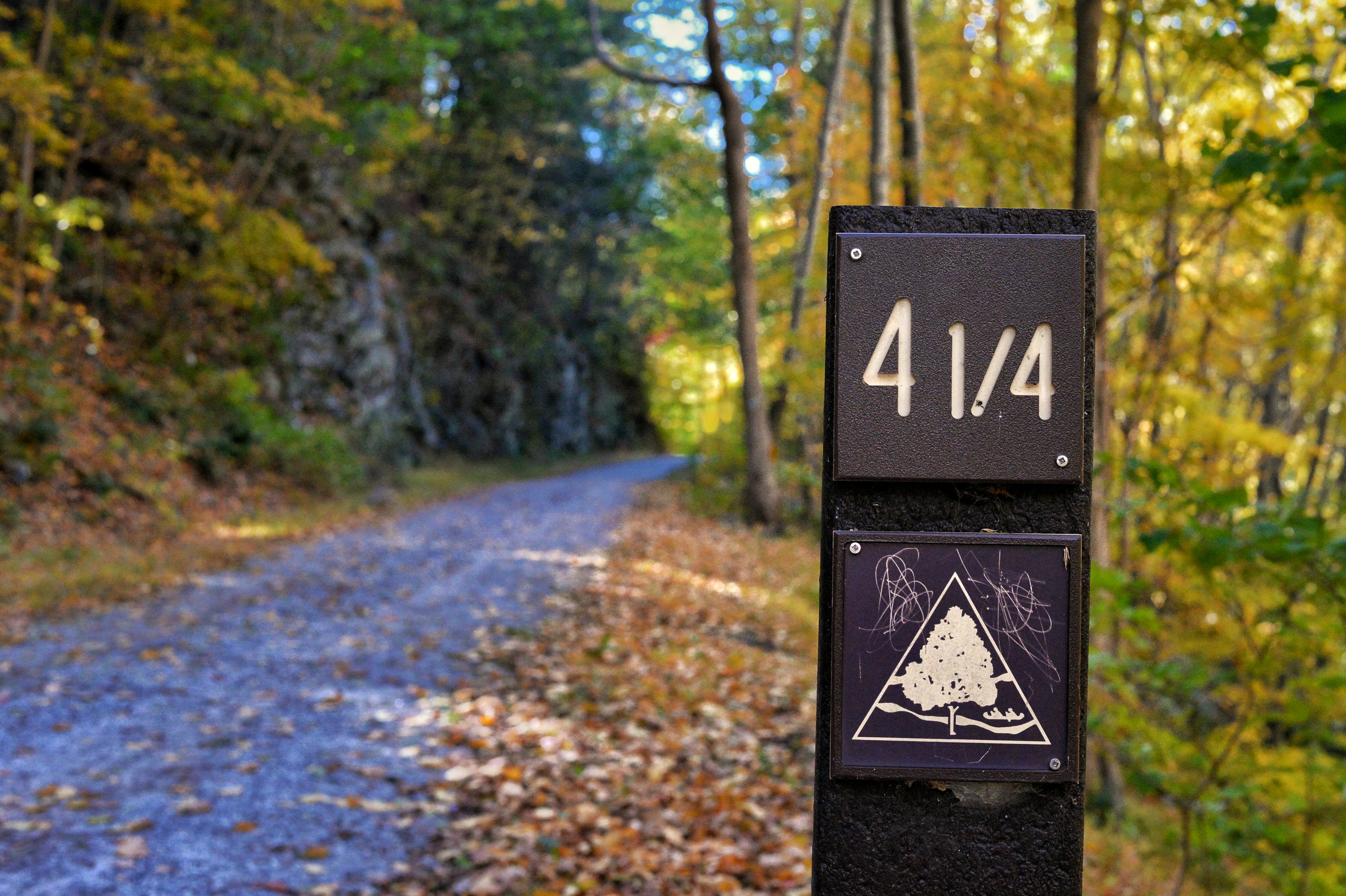 Bike the Columbia Trail: Califon to High Bridge