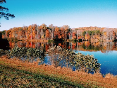 Explore Walnut Creek Park, Walnut Creek Park