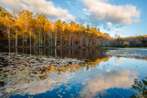 Explore Walnut Creek Park