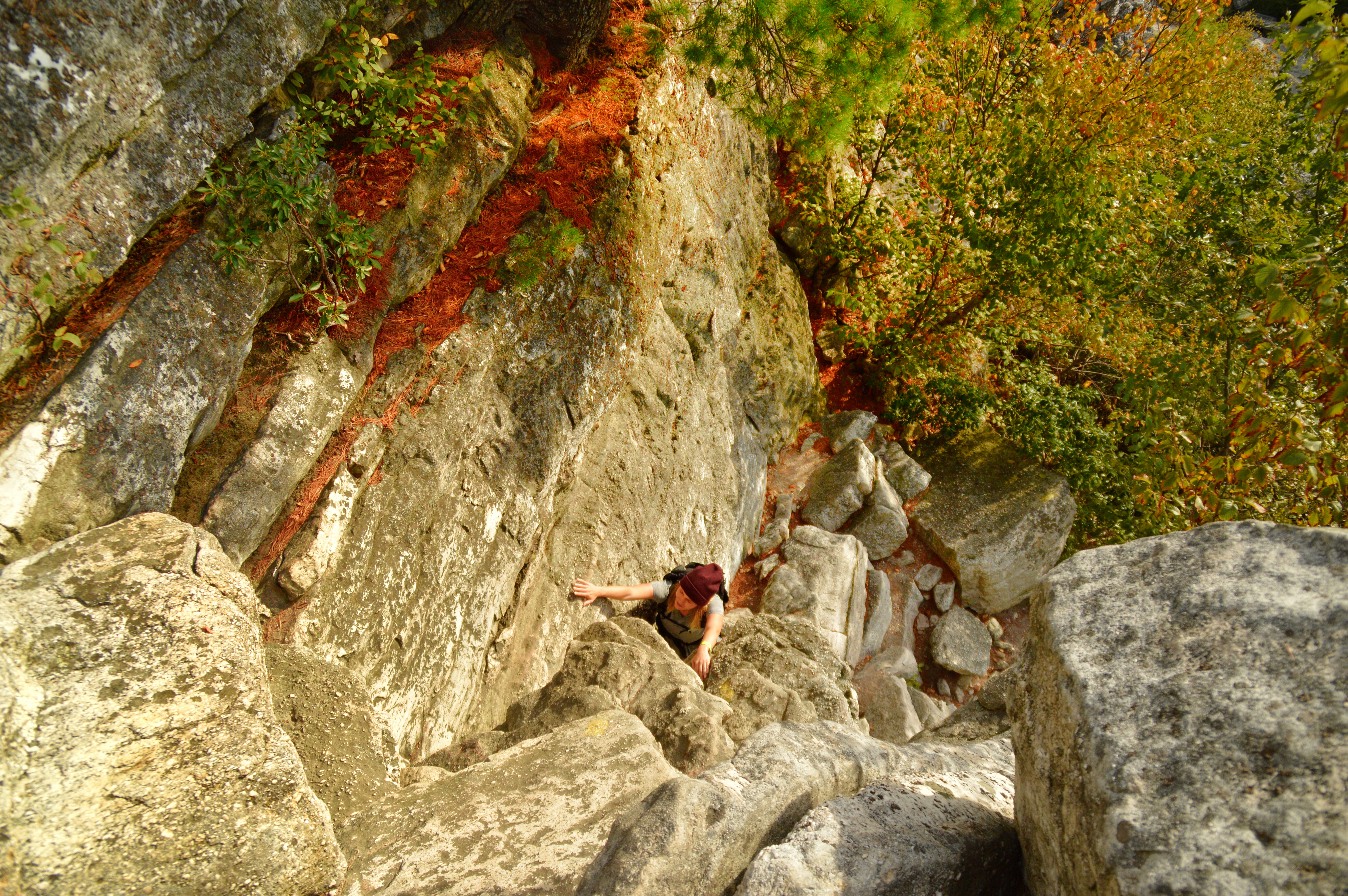 Bonticou Crag