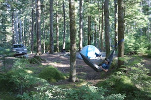 Camp at Cal-Cheak