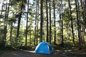 Camp at Cal-Cheak