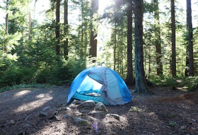 Camp at Cal-Cheak