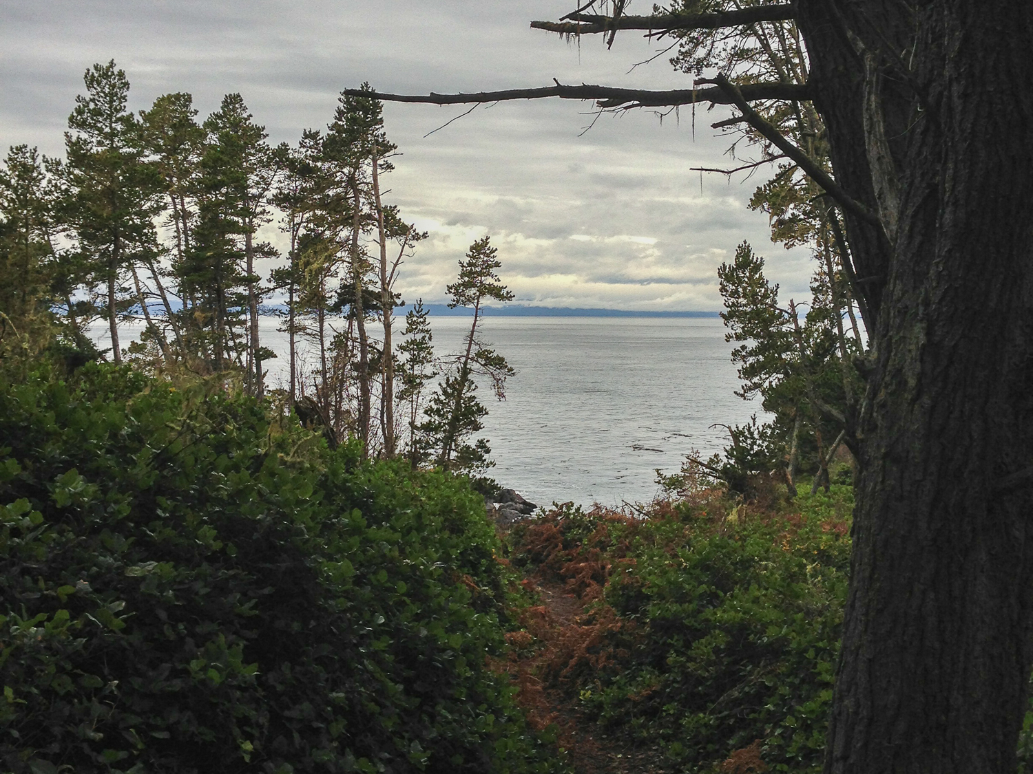 Hike East Sooke Park