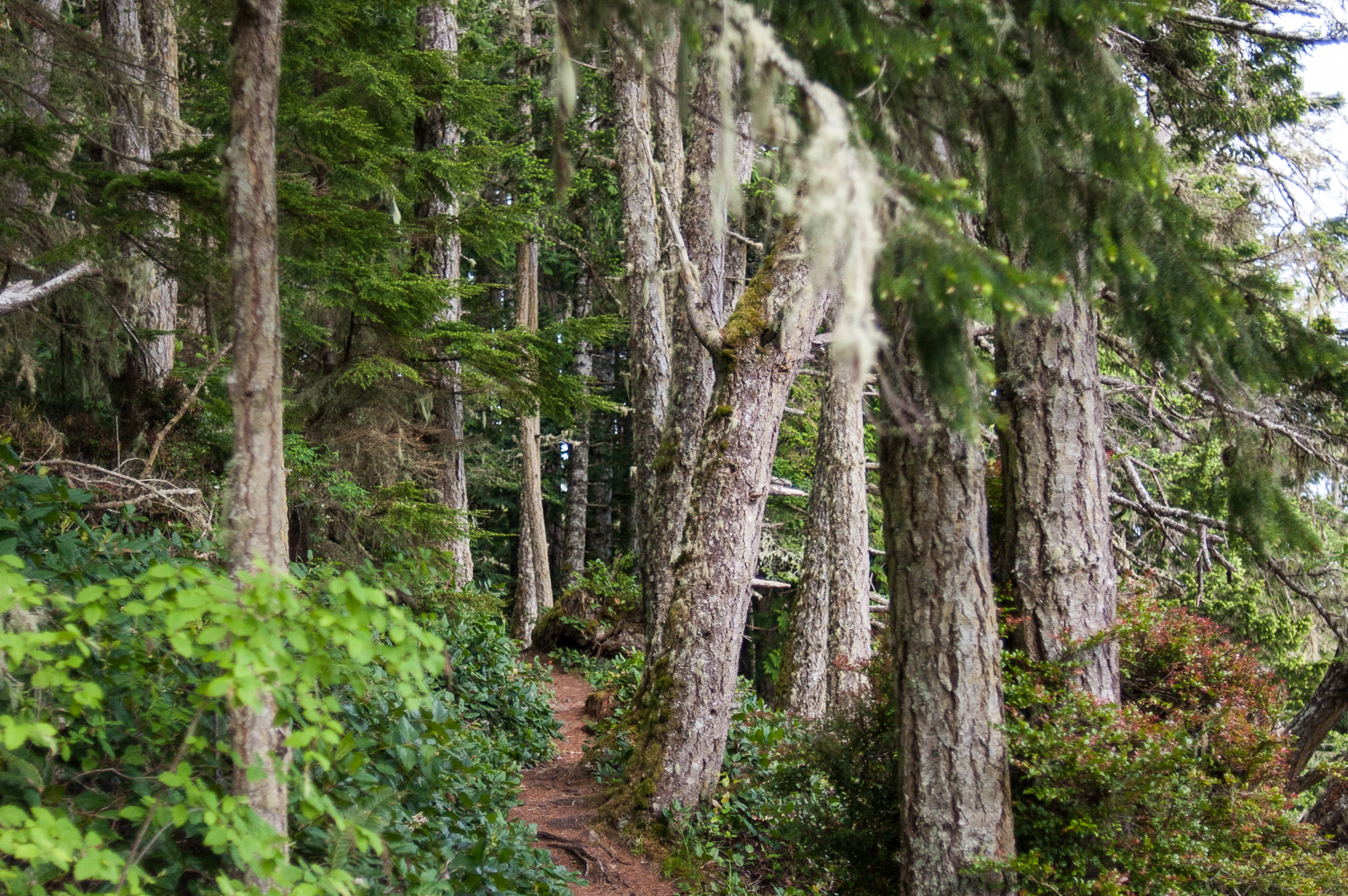 Hike East Sooke Park