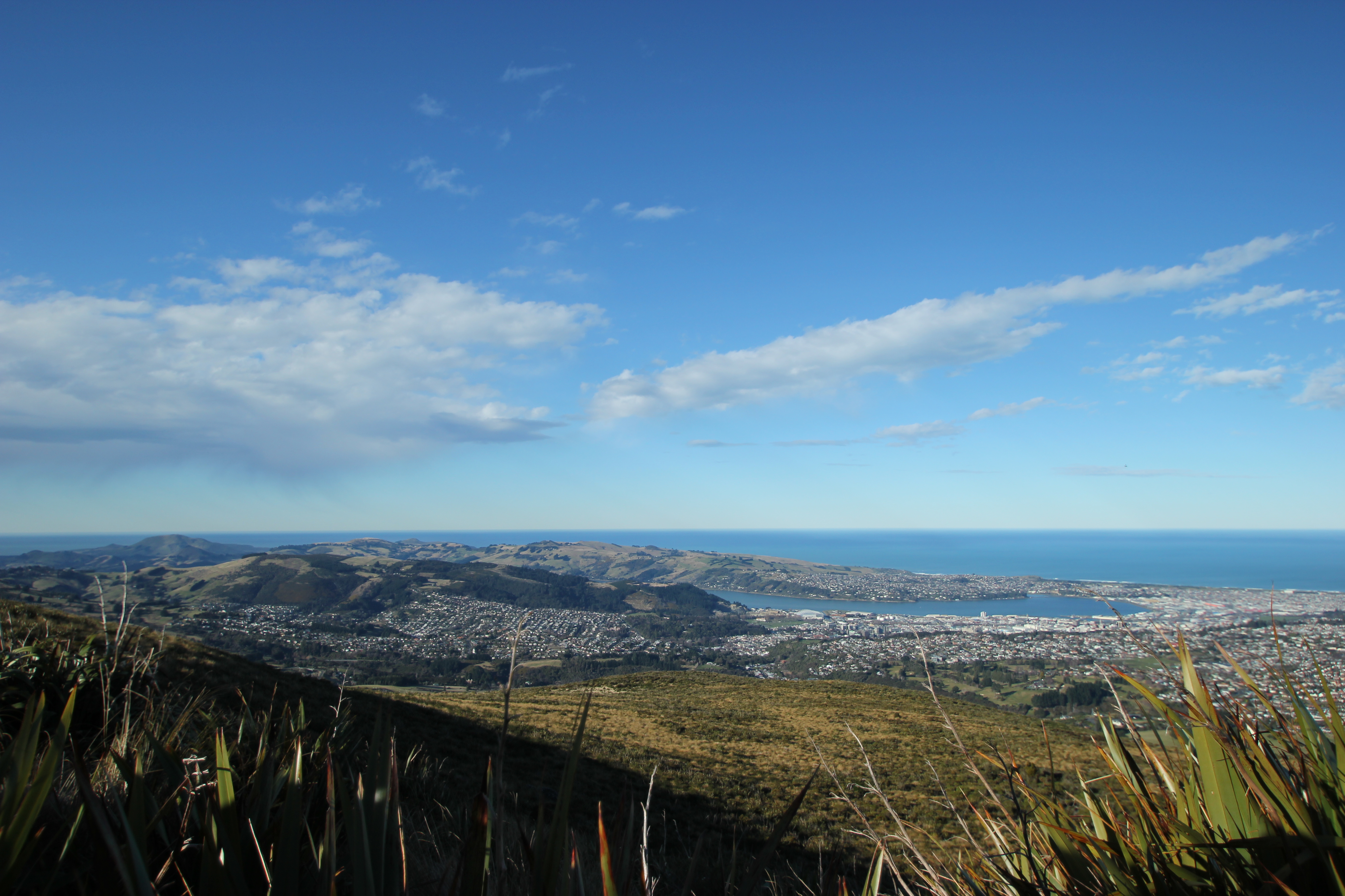 Hike the Pineapple Track 